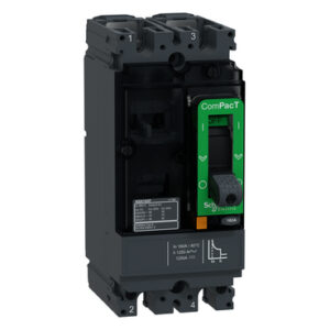 INTERRUPTOR CAJA MOLDEADA NSX160F 18kA AC-DC 2P 160A TMD